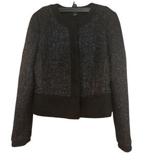 Ann Taylor Shimmering Jacket, Size 4